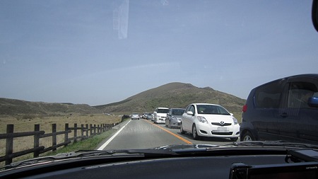 IMG_0822