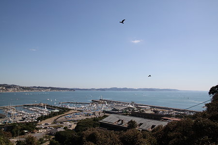 江の島091011_07