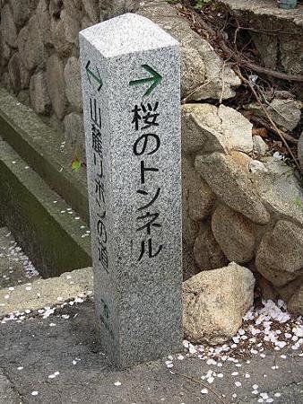 DSCN6837