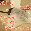 090927-【猫アニメ】おもちゃ選びにゃ！
