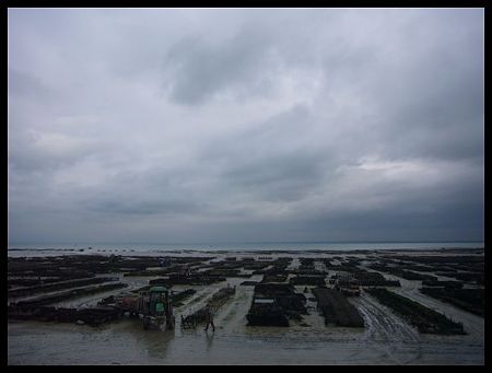 P2230687