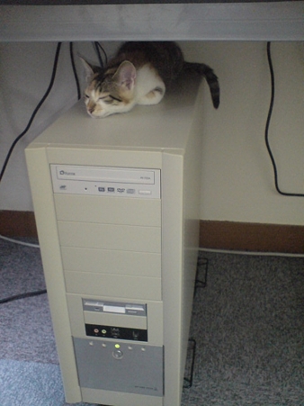 2009072302