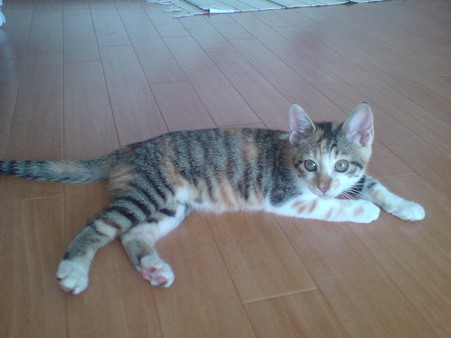 2009071202