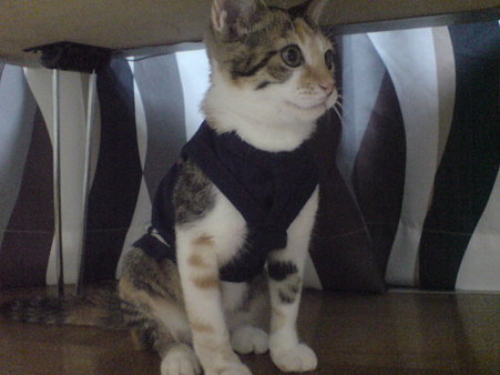 2009073102
