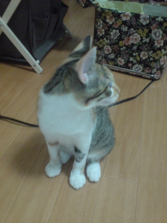2009080702