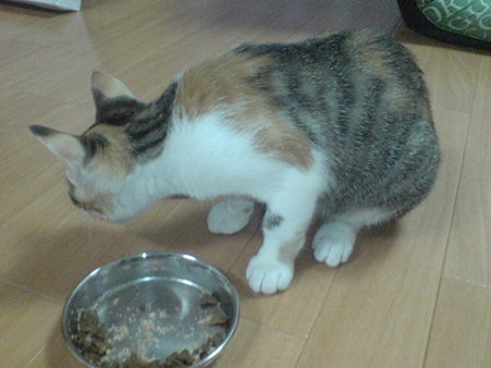 2009080704