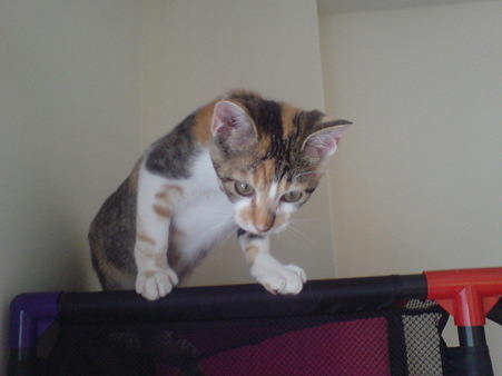 2009081201