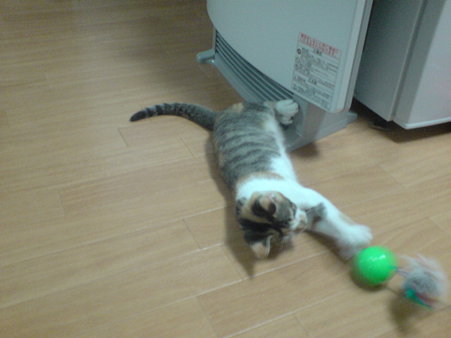 2009081304