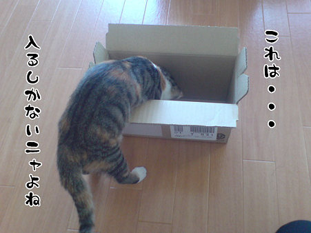 2009081602