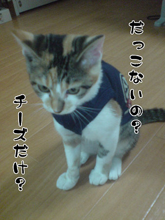 2009081804