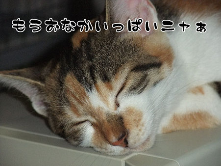 2009082002