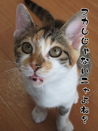2009082103