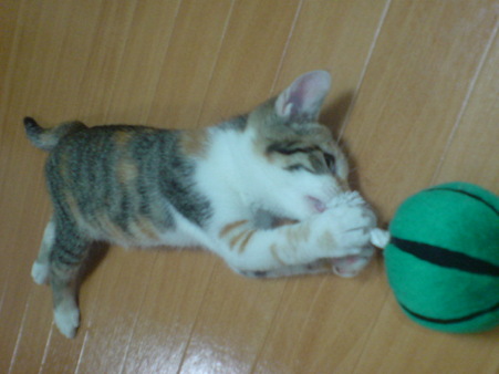 2009071502