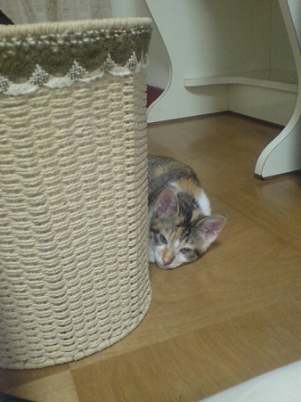 2009070701