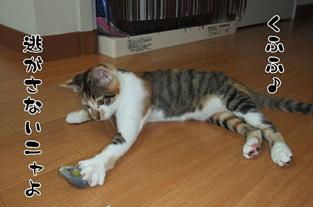 2009082504