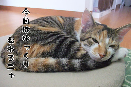 2009083104