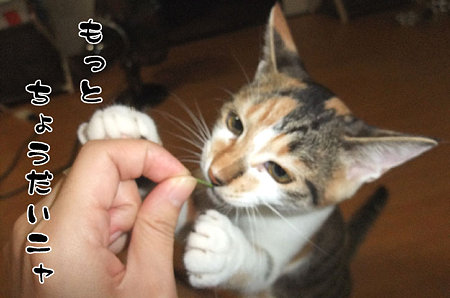 2009090104