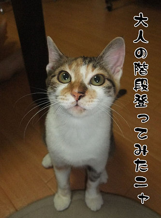 2009090301