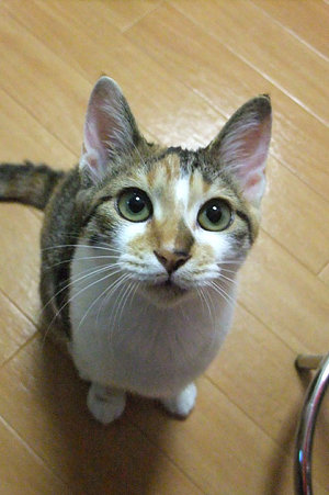 2009090404