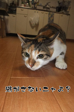 2009092601