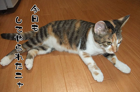 2009092602