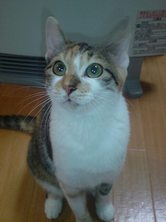 2009092501