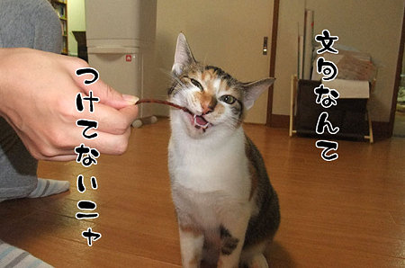 2009100602