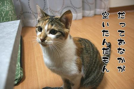 2009102801