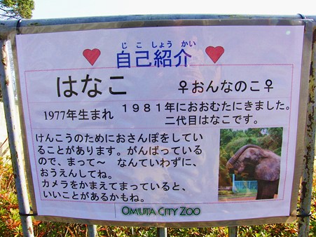 <b>大牟田市動物園</b>のゾウ