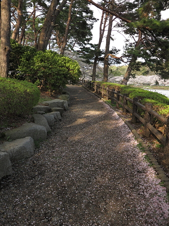 散歩道