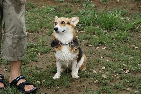 DSC00421