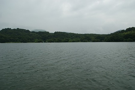 DSC00785