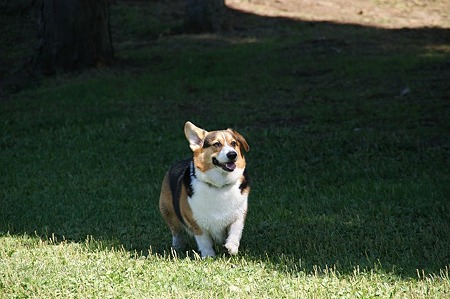 DSC01731