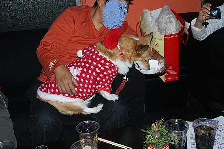 DSC06385