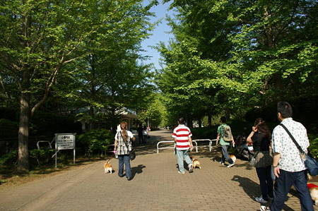 DSC00209