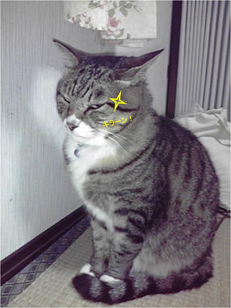新しい画像 (30)