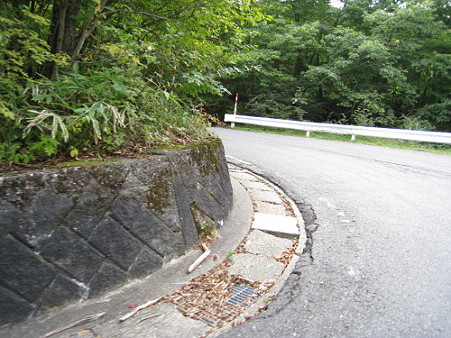 04八方ヶ原4