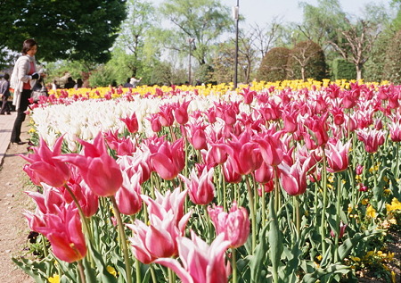 OLYMPUS_PEN_FT_SenciaIII100_05052011-04