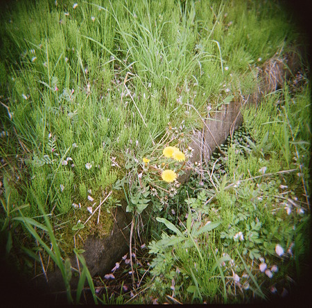 HOLGA_Kodak_PORTRA400VC05092011-02