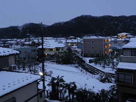 DSC00562
