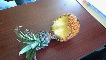 200908131044000