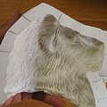 Photos: ライオン石膏型
