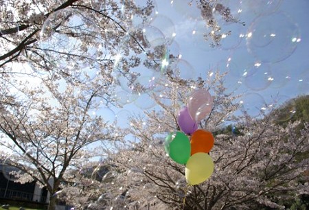 IMGP0129_0415a