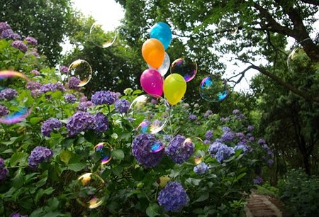 IMGP0105_0617