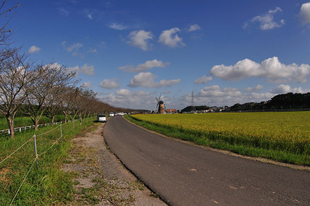 DSC_0194_1544
