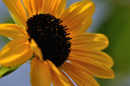 DSC_0055_1606