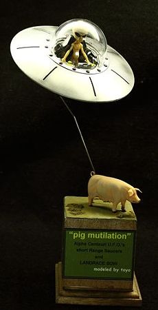 pig mutilation (1)