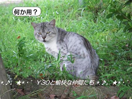 20090727_000409