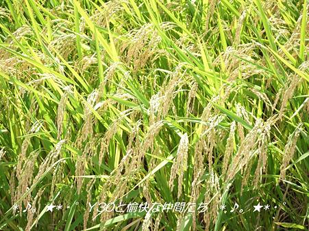 DSCF2048_pa
