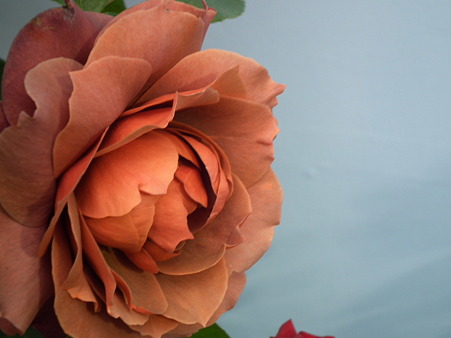 DSCF0205